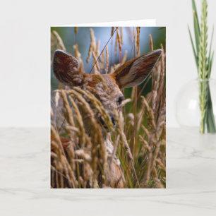 Fawn Columbian Black-tailed Deer  Thank You Card