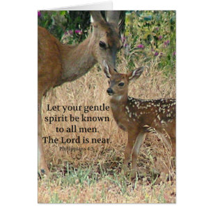 Fawn Deer Nature Wildlife Christian Creationarts