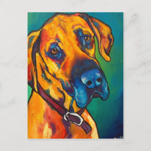 Fawn Great Dane Postcard