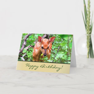 Fawn Greeting Card