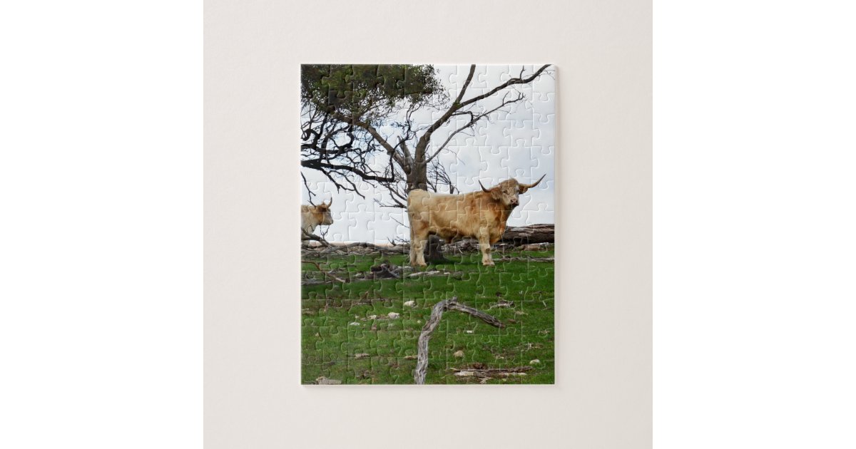 Fawn Highland Cow, Jigsaw Puzzle | Zazzle.co.uk