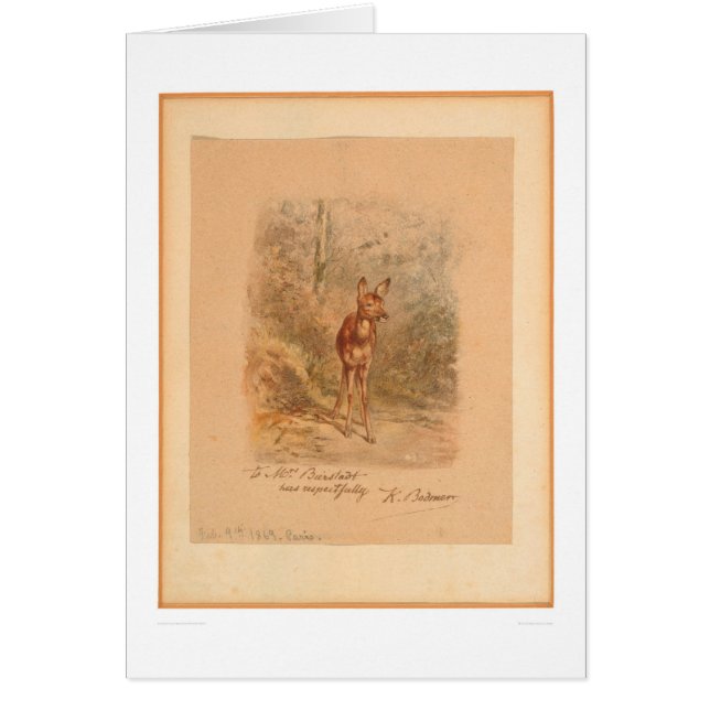 Fawn in Forest (0567A) (Front)