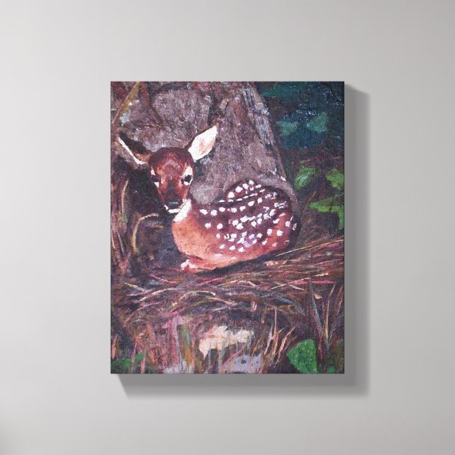 Fawn in Forest Canvas Print (Front)