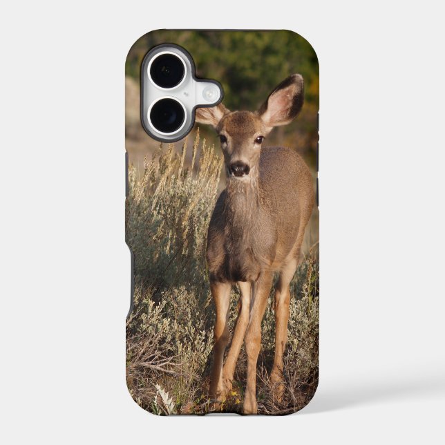 Fawn iPhone 5 (Back)