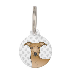 Fawn Italian Greyhound Cute Dog Head Illustration Pet Tag