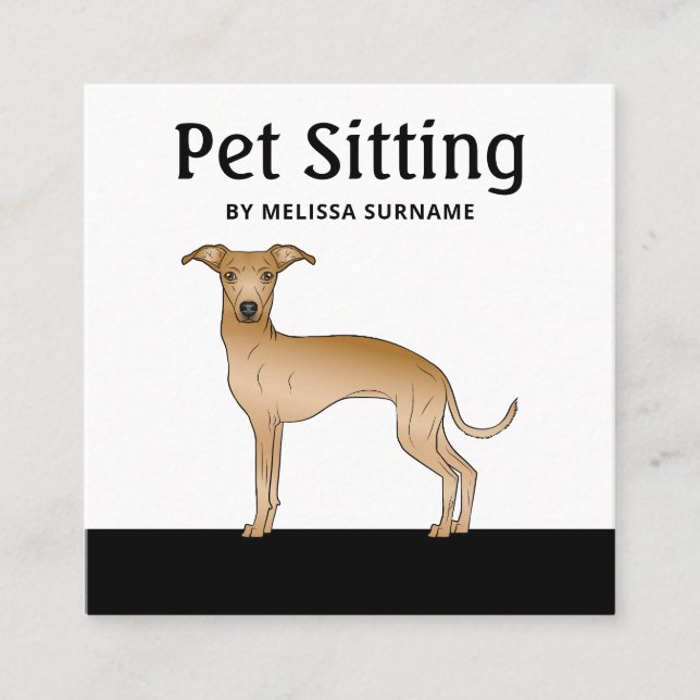 Fawn Italian Greyhound Dog - Pet Sitting Services Square Business Card (Front)