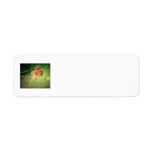 Fawn Label