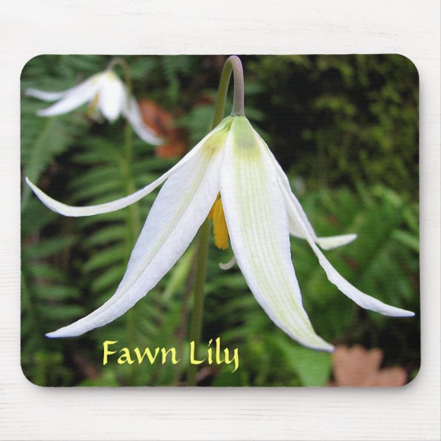 Fawn Lily Mousepad (Front)