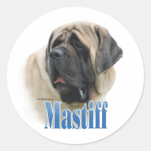Fawn Mastiff Name - Sticker