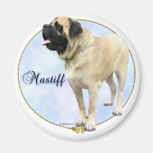 Fawn Mastiff Portrait Magnet