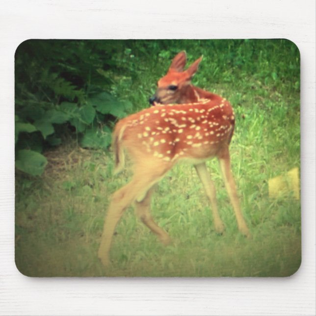 Fawn Mouse Mat (Front)