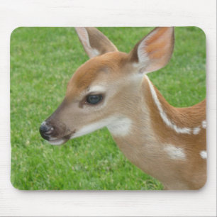Fawn Mouse Pad