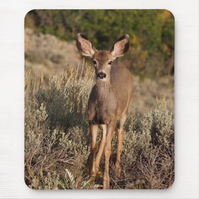 Fawn Mousepad (Front)