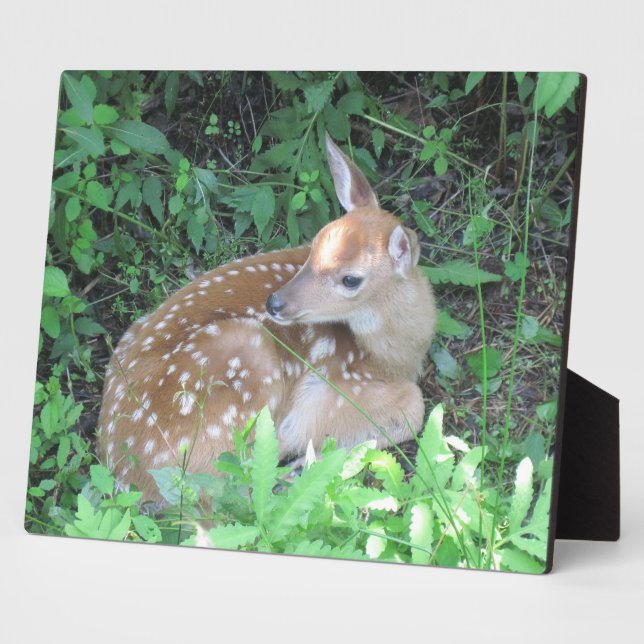 Fawn Plaque (Side)