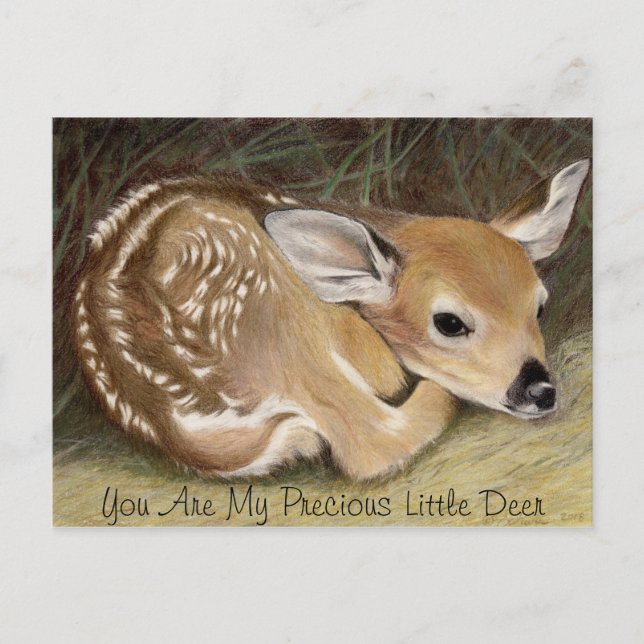 Fawn Postcard (Front)