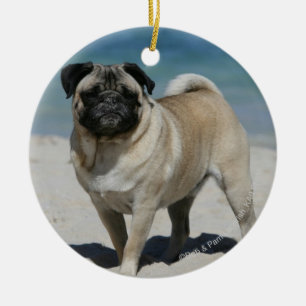 Fawn Pug at the Beach Ceramic Tree Decoration