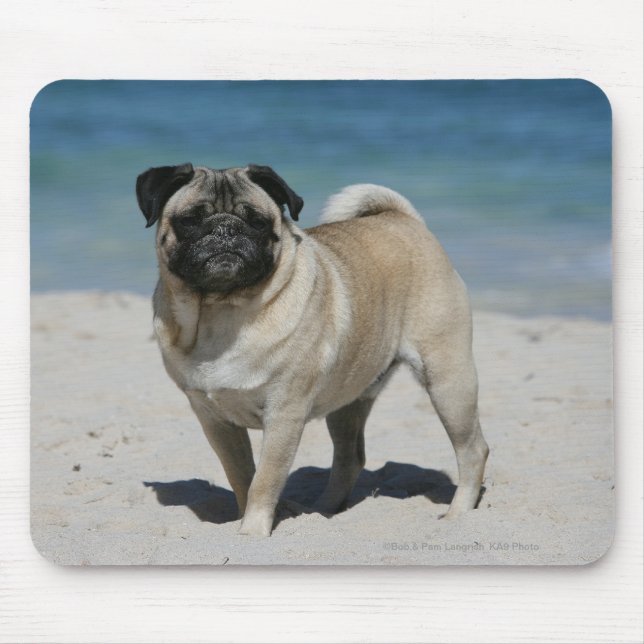 Fawn Pug at the Beach Mouse Mat (Front)