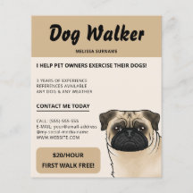 Fawn Pug Beige Dog Walker Dog Walking Pet Service