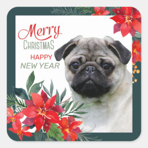 Fawn Pug Dog Poinsettia Bouquet Christmas Square Sticker