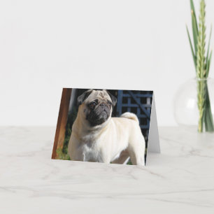 Fawn Pug Note Card - Blank
