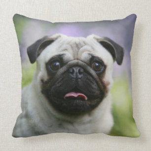 Fawn Pug on Alert Cushion