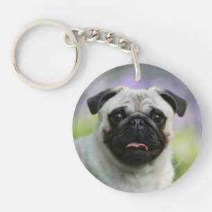 Fawn Pug on Alert Key Ring
