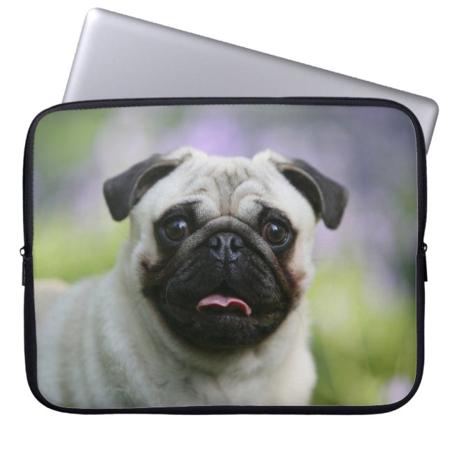 Fawn Pug on Alert Laptop Sleeve (Front)