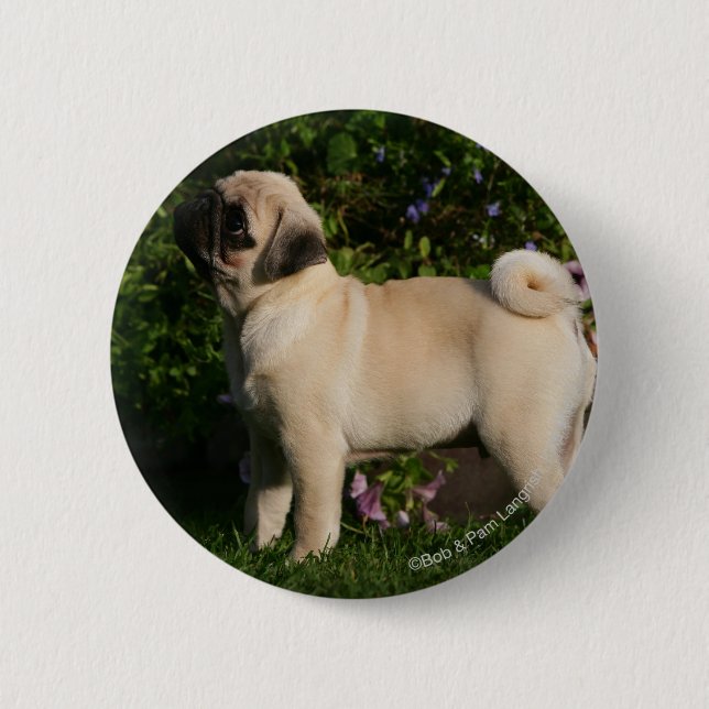 Fawn Pug Profile 6 Cm Round Badge (Front)