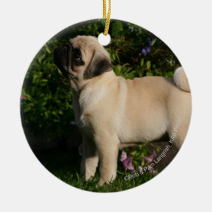 Fawn Pug Profile Ceramic Tree Decoration