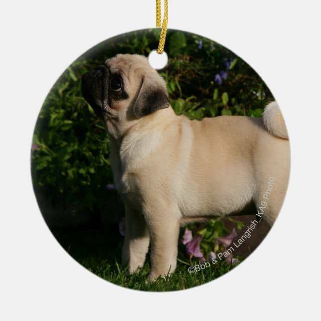 Fawn Pug Profile Ceramic Tree Decoration (Front)