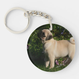 Fawn Pug Profile Key Ring