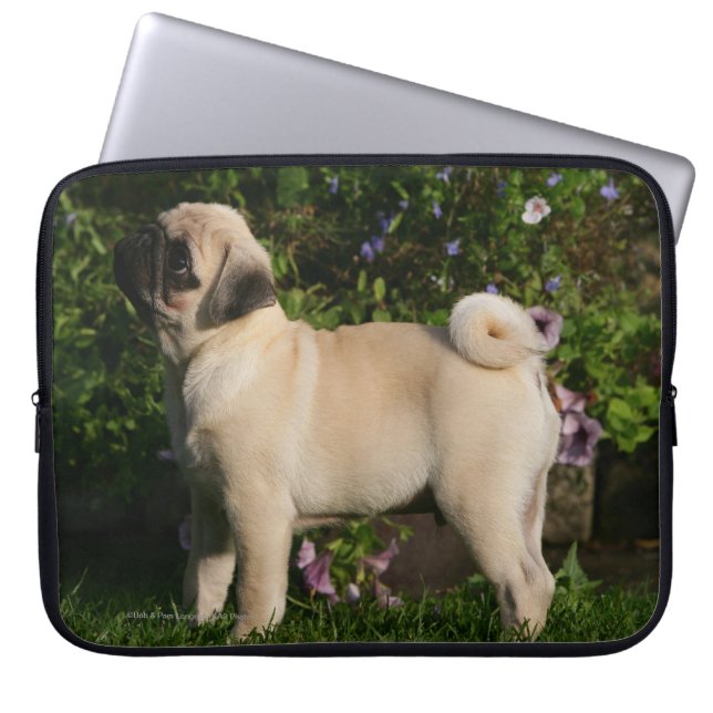 Fawn Pug Profile Laptop Sleeve (Front)