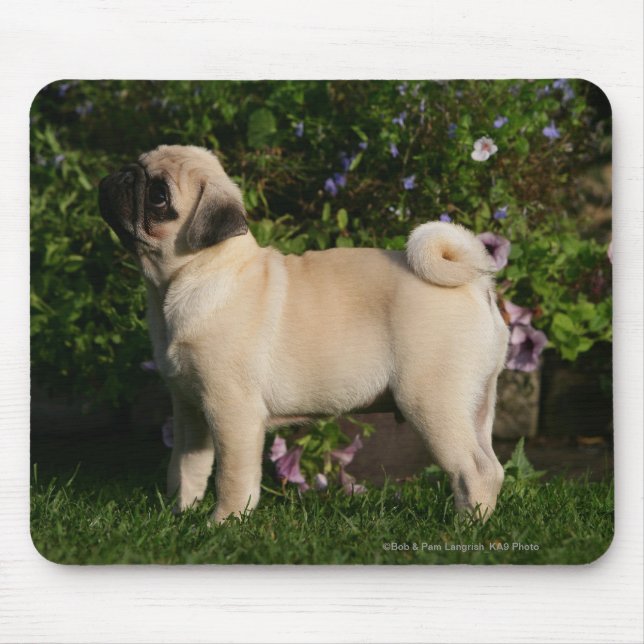 Fawn Pug Profile Mouse Mat (Front)
