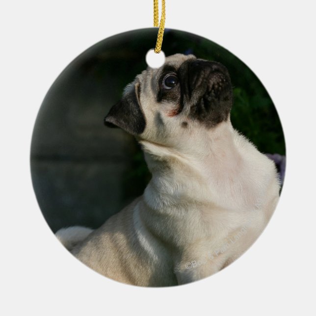 Fawn Pug Puppy Ceramic Tree Decoration (Front)