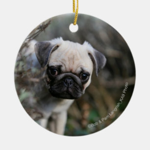 Fawn Pug Puppy Headshot Ceramic Tree Decoration