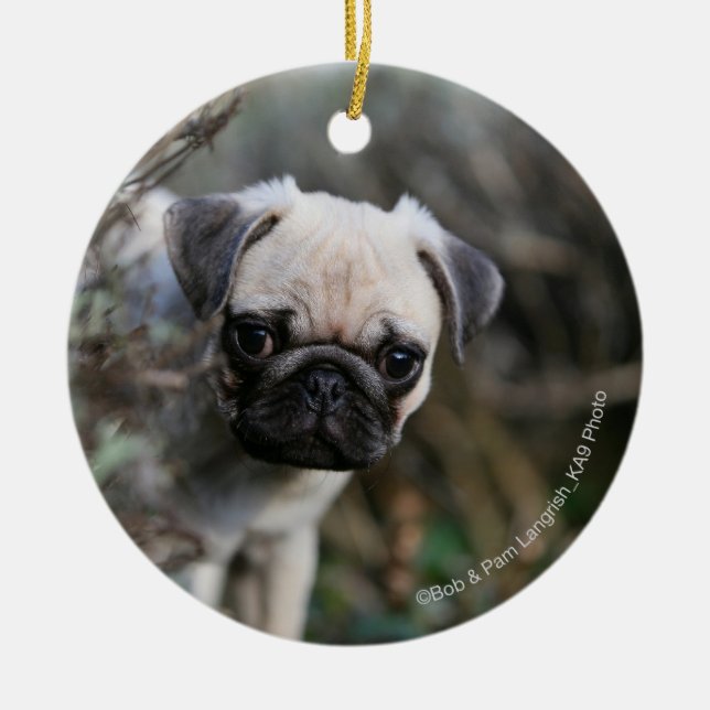 Fawn Pug Puppy Headshot Ceramic Tree Decoration (Front)