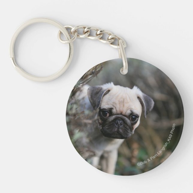 Fawn Pug Puppy Headshot Key Ring (Front)