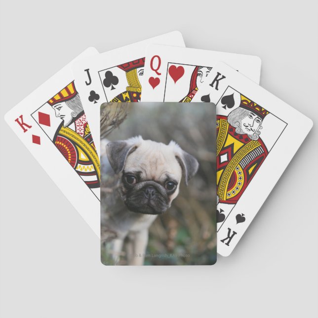 Fawn Pug Puppy Headshot Playing Cards (Back)