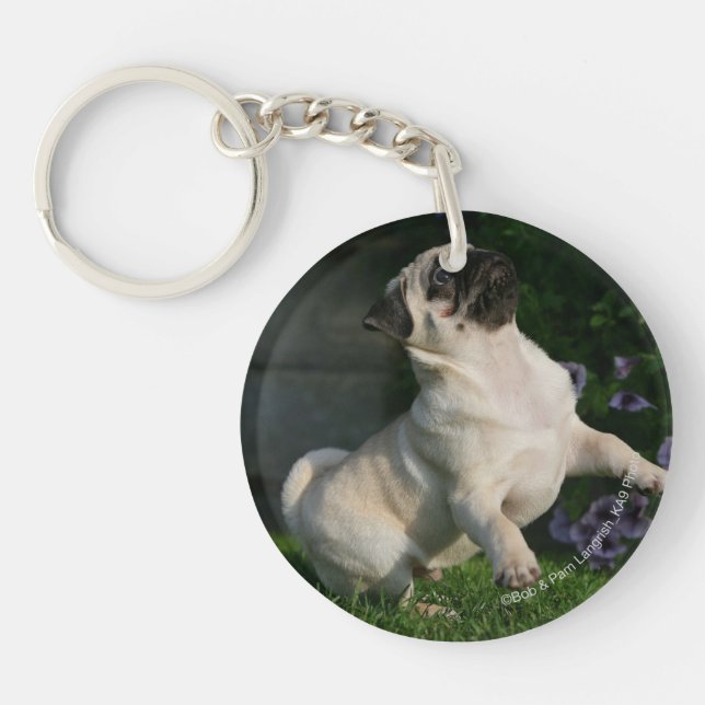 Fawn Pug Puppy Key Ring (Front)