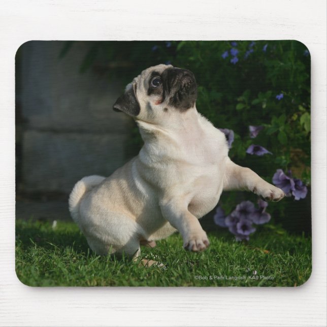 Fawn Pug Puppy Mouse Mat (Front)