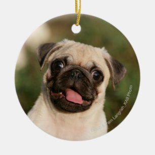 Fawn Pug Puppy Panting Ceramic Tree Decoration