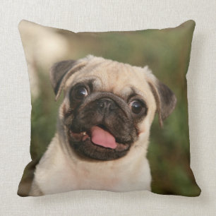 Fawn Pug Puppy Panting Cushion