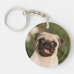 Fawn Pug Puppy Panting Key Ring