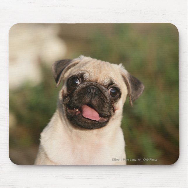 Fawn Pug Puppy Panting Mouse Mat (Front)