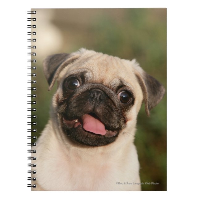 Fawn Pug Puppy Panting Notebook (Front)