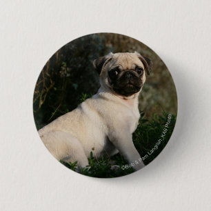 Fawn Pug Puppy Sitting 6 Cm Round Badge
