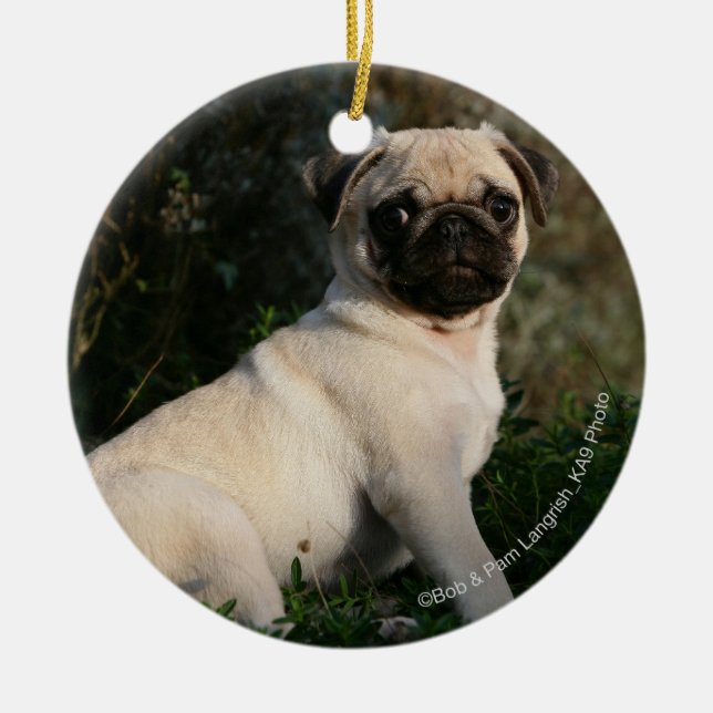Fawn Pug Puppy Sitting Ceramic Tree Decoration (Front)