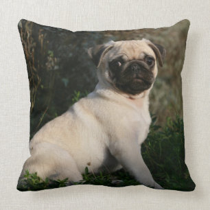 Fawn Pug Puppy Sitting Cushion