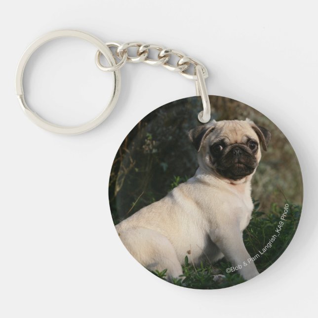 Fawn Pug Puppy Sitting Key Ring (Front)