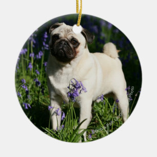 Fawn Pug Standing in the Bluebells Ceramic Tree Decoration